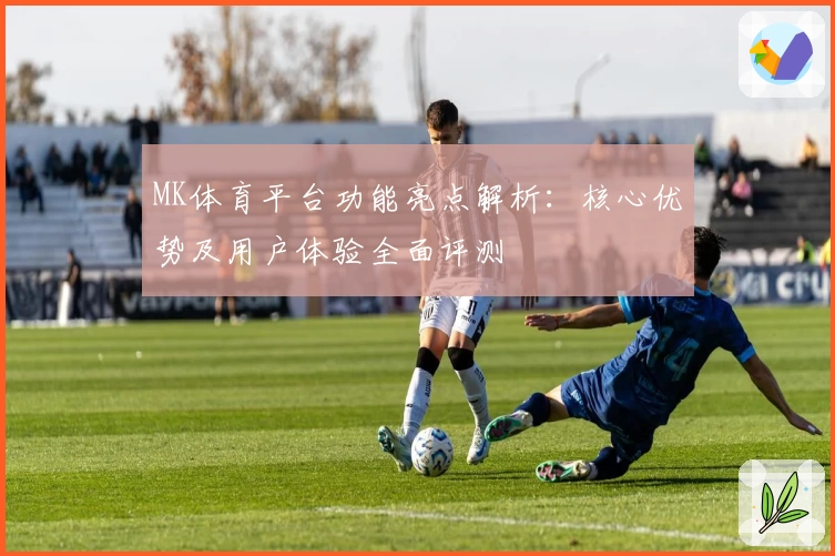 MK体育平台功能亮点解析：核心优势及用户体验全面评测